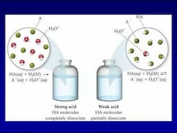 Intro to Acids and Bases: Properties, Vocabulary, and Salts