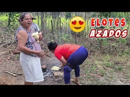 Azando Los ELOTES LOCOS que Parecen Estar Más Sanos Que Las Tías En este Video Deleitando Rodeado de