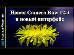 Новая Camera Raw 12,3 и новый интерфейс