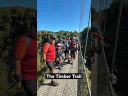 Come ride the Timber Trail with us!