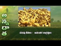 Post harvest care of turmeric @ Nizamabad | ETV