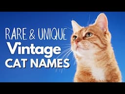 These Timeless Old-fashioned Cat Names Are Too Perfect to Pass Up!