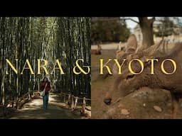 VLOG: Nara Deer Park, Arashiyama Bamboo Forest in Kyoto, little coffeeshops you need to visit! 🦌🎍☕️