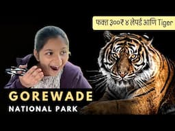 ताडोबा नागपुर मध्ये tiger safari टिकिट्स नाही भेटत तर इकड़े नक्की भेट द्या । Gorewada International