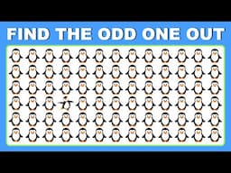 Find the Odd One Out - Challenge Your Brain ! | 25 Easy, Medium and Hard Level questions