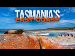 Road Tripping Tasmania's East Coast