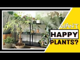 If you want HAPPY HOUSEPLANTS you NEED THIS!