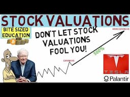 The Truth About Stock Valuations - Tesla, Palantir......