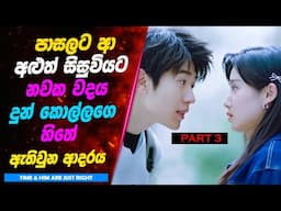 P3: ඉස්කොලේ නපුරුම කොල්ලා සන්සුන් වූ රහස | Sinhala Movie Review | K drama Sinhala movie review