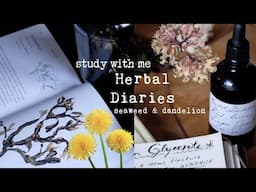 Herbal Diaries ~ Dandelion Root Glycerite & Seaweed pickle | Collective Care