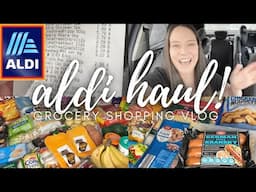 NEW* ALDI GROCERY HAUL | LARGE FAMILY GROCERY HAUL | ALDI GROCERY SHOPPING VLOG 2022 SHOP WITH ME 🛒