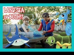 LAND, SEA or BOTH?! | Games and Activities for Children