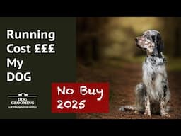 The Running Cost of My Dog