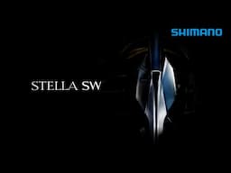 SHIMANO 25 STELLA SWD - Conquer the Impossible.