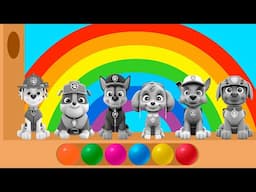 PAW Patrol Colored Balls | Learning colors for kids