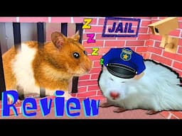 Review Hamster Fled!🦂Scorpion maze with hamster Police Pets escapes Awesome