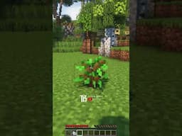 What if Minecraft had CUSTOM SAPLINGS?! #minecraft #minecraftbuilding