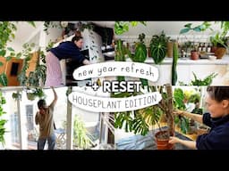 1.5 HOURS(!!) of Resetting My Houseplant Collection 🌱 Huge January RESET 2025