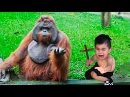 TRY NOT TO LAUGH | Funny Reactions From Kids At The Zoo!