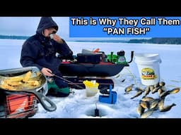 Ice Fishing Pan Fish CATCH & COOK Bluegill Northern Michigan