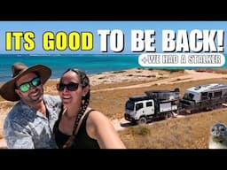 WE HAD A STALKER - PACKING UP TO TRAVEL AUSTRALIA FULLTIME IN A CARAVAN & 4X4 ISUZU TRUCK