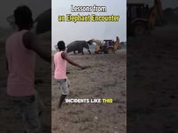 Lessons from an Elephant Encounter