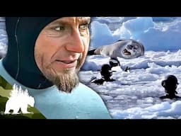 The Ice Divers: Surviving Antarctica’s Frozen Depths | Adventure Documentary