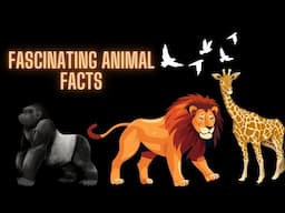 Fascinating Animal Facts: Explore the Wonders of the Animal Kingdom!