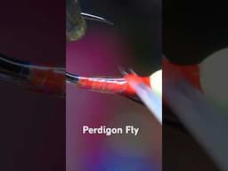 Perdigon - Red Flash #shorts  #fishing #flytying