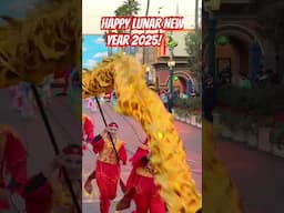 DCA Lunar New Year Festival 2025!