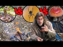 What Will Kill You First? Poisonous Snake vs Poisonous Mushroom vs Venomous Spider