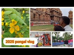 ❤️NTholigal / pongal celebration vlog / home making #home #minivlog #festival #family