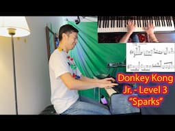 Donkey Kong Jr. - Level 3 "Sparks" Theme Performed by Video Game Pianist