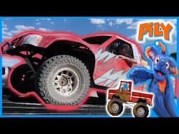 Off Road Racing Trucks for Toddlers | Pily Truck Video for Kids | Pily Drives Trucks