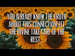 TWIN FLAMES • You already know the TRUTH about this connection! Let the divine take care of it…