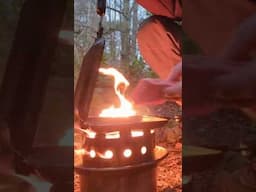 Bushcraft cooking in the forest