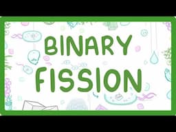 Binary Fission - How Do Bacteria Divide?  #12