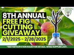 IV Organic® 8th Annual FREE Fig Cuttings Giveaway