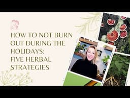 How to Not Burn Out During the Holidays: Five Herbal Strategies