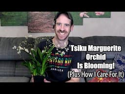 Tsiku Marguerite Orchid (How I Care for Mine)