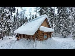 WILD FOREST SURVIVOR Lives Off the Grid in log cabin