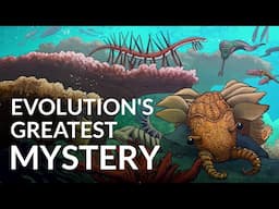 What Caused The Cambrian Explosion?