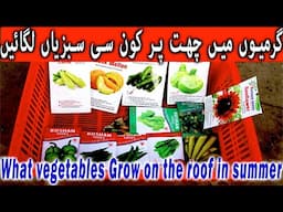 How To Grow Summer vegetables at Home Kitchen Garden & Terrace Gardening | Garmiyon ki sabziyan