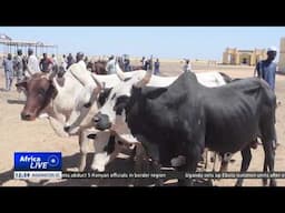 Key livestock market in Nigeria's Borno state reopens after insurgent attack