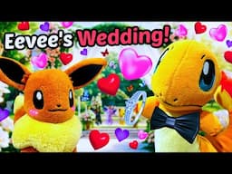 Eevee's Wedding! - Pokemon Plush Pals