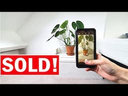 I'm getting rid of all my plants | plant vlog