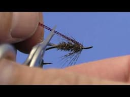 Squirrel and Peacock Hairwing - Steelhead Wet Fly Pattern - Fly Tying Video Tutorial