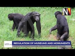 Regulation of museums and monuments