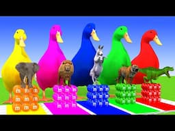 5 Giant Duck Cartoon,Super Mario ,Tiger, Cow,Lion,Paint Wild Animals Crossing Fountain Animation