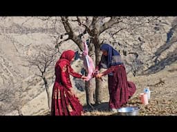 **Accompanying two nomadic ladies in the mountains of Iran**